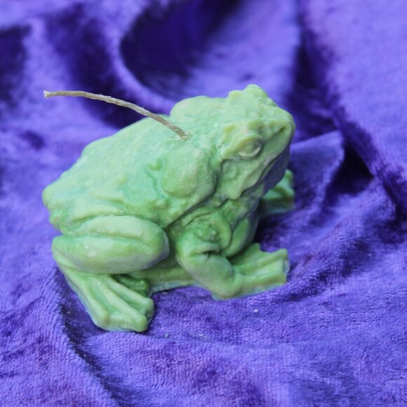 Green Frog Candle - Picture 7 of 14